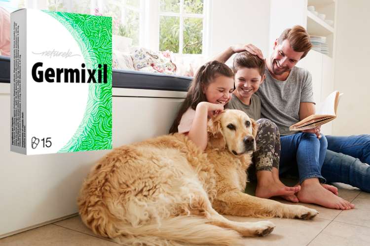 Germixil cmimi